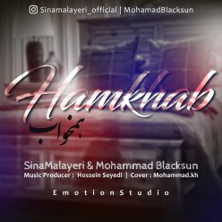 Sina Malayeri  – Hamkhab